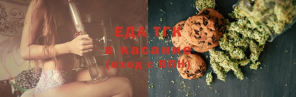 индика Зеленокумск