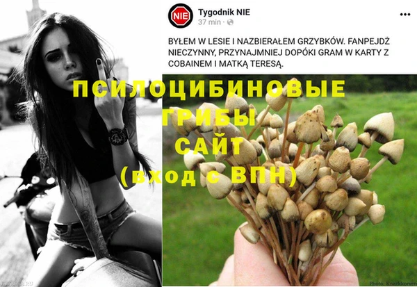 молекула духа Зеленодольск
