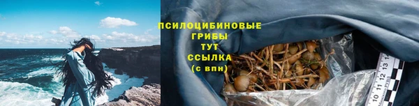 индика Зеленокумск