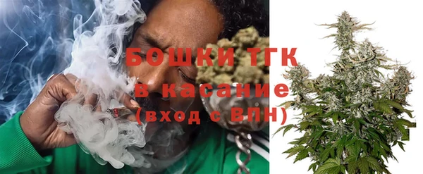 молекула духа Зеленодольск