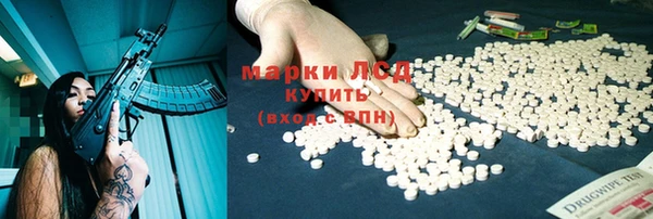 индика Зеленокумск