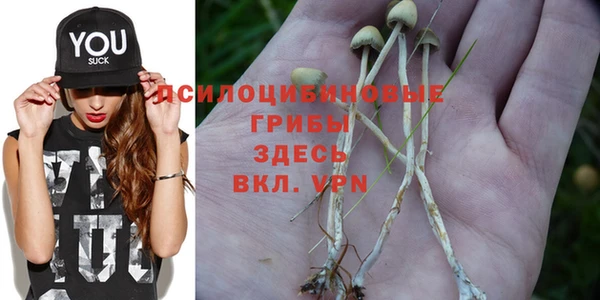 молекула духа Зерноград